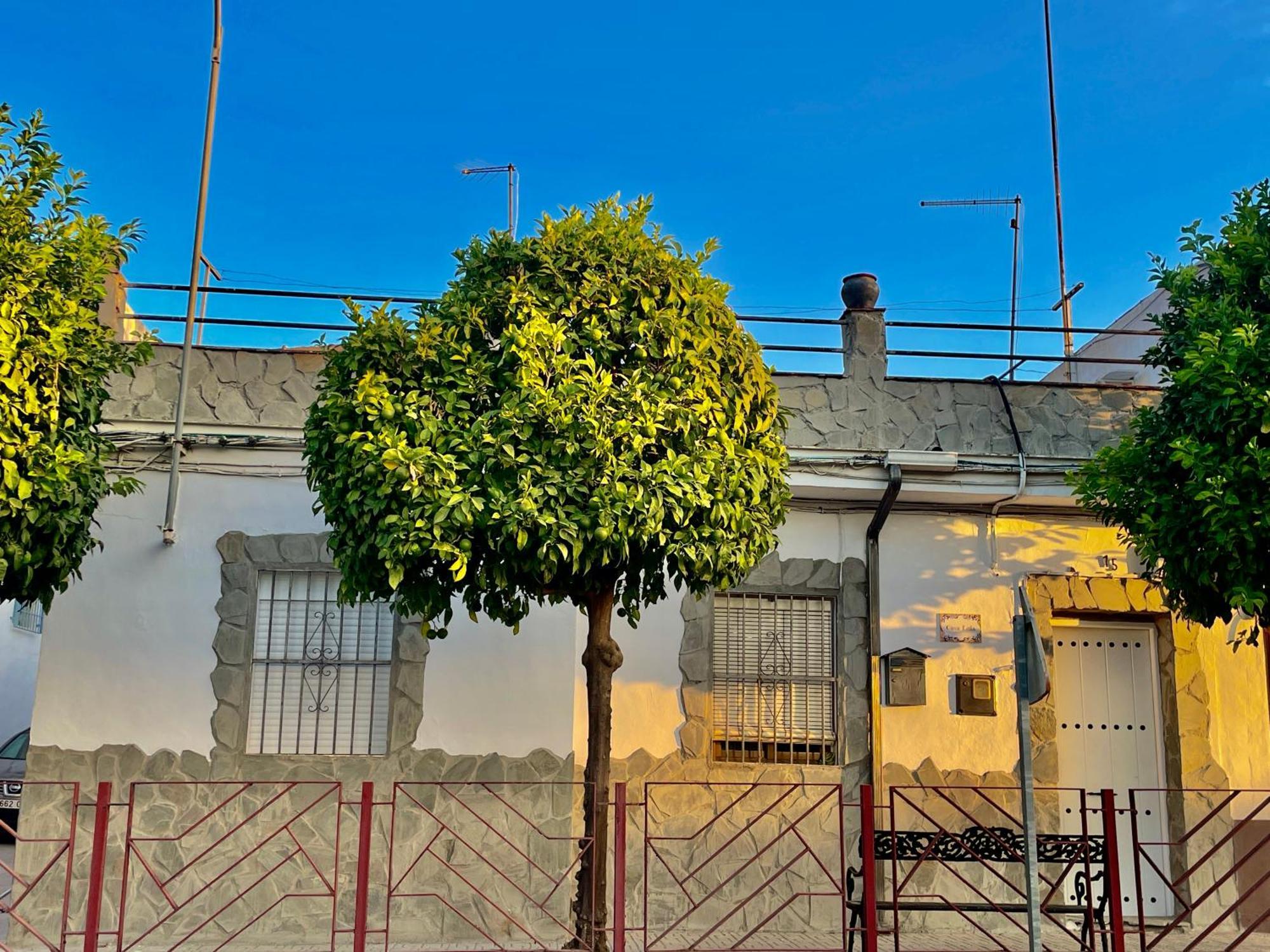 Casa Lula Βίλα Villafranca de Córdoba Εξωτερικό φωτογραφία